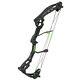 Hori-zone K9 Youth Compound Bow Package Archery 8 26 Pounds