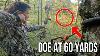 I Shot A Deer At 60 Yards Unbelievable Shot Bow Hunting