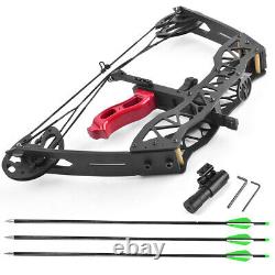 Mini Compound Bow Arrows Set 25lbs Right Left Hand 16 Archery Fishing Hunting