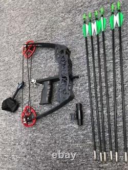 Mini Compound Bow Arrows Set 30-40lbs Fishing Hunting Target Bowfishing Archery
