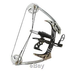 Mini Compound Bow Set 25lbs 14 Triangle Bow Arrows Archery Bowfishing Hunting
