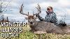 Monster Illinois Buck November Bow Hunting Action