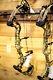 New 2019 Pse Evolve 28 Camo 70# Compound Bow Hunting Bow 90% Letoff