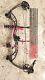 Pse Chaos Compound Bow Woman's Rh- Up To 50# Draw Weight 16-27 Draw Length