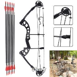 Pro Compound Bow Kit 30-60lbs Black Right Hand Hunting Archery Target Arrow Set