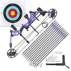 Pro Compound Bow Kit 70 Lbs For Adult Hunting Target Practice Archery