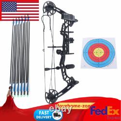 Pro Compound Right Hand Bow Kit Arrow Archery Target Hunting Set 35lbs-70lbs