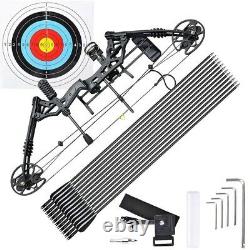 Pro Compound Right Hand Bow Kit Arrow Archery Target Practice Hunting 20-70lbs