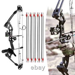 Right Hand Compound Bow +12 Arrows Set Adult Archery Hunting Training Set Black