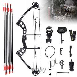 Right Hand Compound Bow Kit 12 Arrows Archery Hunting Camo Set 30-60lbs US