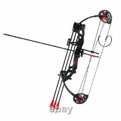 Right Hand Compound Bow Kit Carbon Arrows Quiver Set 15-29lbs Target for Hunting