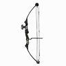 Sas Siege 55 Lb 29 Compound Target Bow Hunting With 5-spot Paper Target