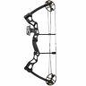 Southland Archery Supply Sas 70 Lbs 30 Compound Bow Hunting Target Shooting 3d
