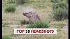Top 10 Insane Hunting Headshots 2022 Slow Motion Killshots