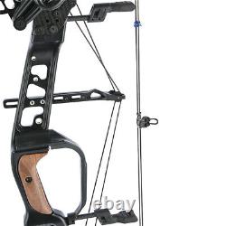 US Compound Bow 21.5lbs-60lbs Steel Ball Dual Use Archery Hunting Arrows 330fps
