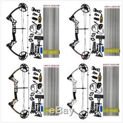 US Stock 19-70 LBS Compound Bow & Arrow Archery Hunting Target Limbs Bow 19-30