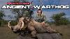 Uganda Bow Hunting With Sarah Bowmar 3 Epic Bow Kills