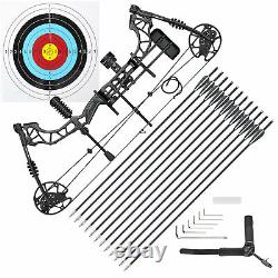 70 Lbs Pro Compound Bow Kit Main Droite Cible Pratique Chasse Arrow Archery Man