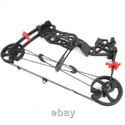 Archery Steel Ball Compound Bow 30-60lbs Double Usage Rh Lh Pêche Chasse Tir