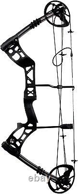 Arrows Archery Compound Bow Set 0-75lbs Shoot De Chasse À L'extérieur Entièrement Réglable