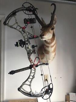 Bowtech Insanité Cpx 60 Lbs