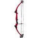 Genesis Archery 10476 Initial Red Compound Target Practice Bow, Main Droite