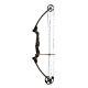 Genesis Gen-x Compound Archery Target Practice & Hunting Bow, Main Droite, Carbone