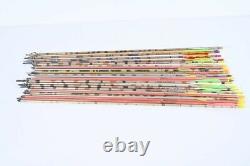Golden Eagle Compound Chasse Bow & 25 Flèches Assorties