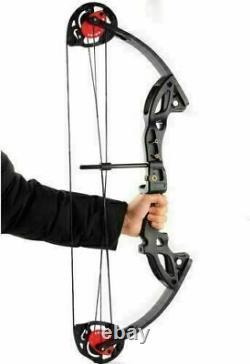 Kit de flèches pour arc à poulies professionnel de 15 à 29 livres pour la pratique de tir à l'arc et la chasse pour droitier