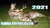 L'âge De Sept Ans Tue Son Deuxième Buck Avec Un Bow Composé 2021 Deer Hunt