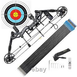 Pro Compound Hand Bow Kit 30-70lbs Arrow Archery Target Hunting Black Set